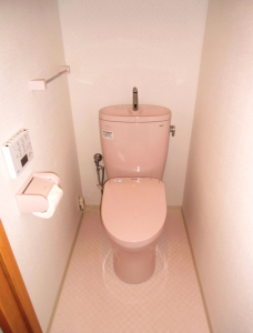 ห้องน้ำสีชมพู-2